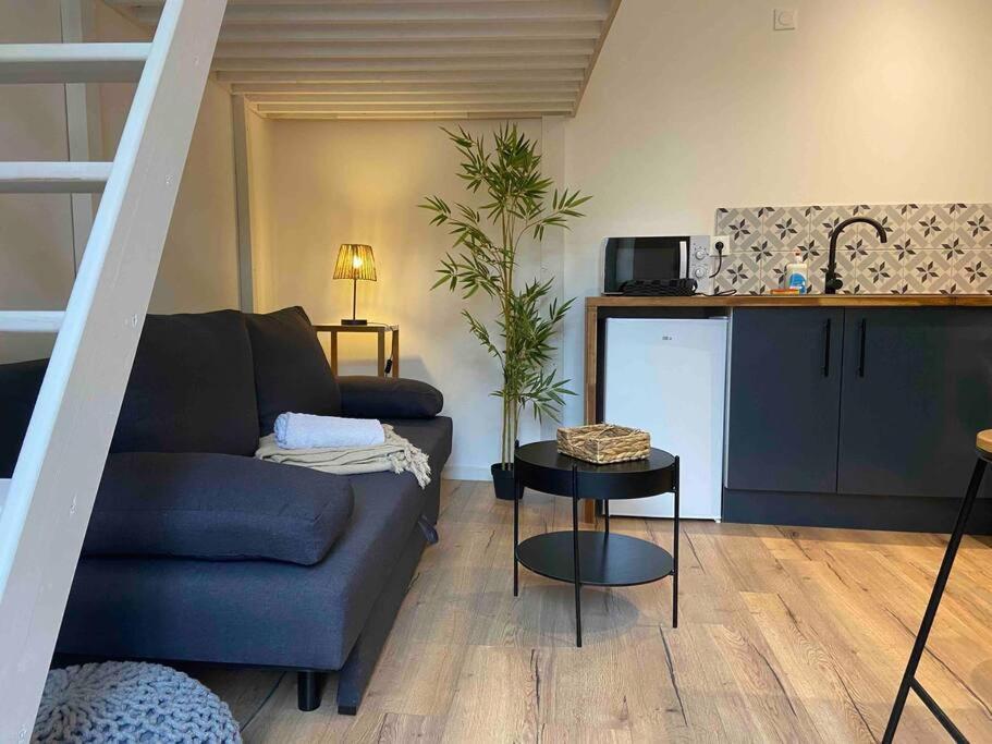 Charmant Studio Vierzon Exterior foto